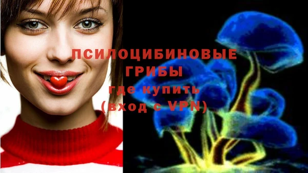 МДПВ Каменка