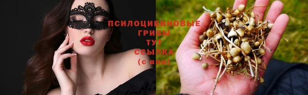 прущая мука Киреевск