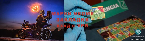МДПВ Каменка