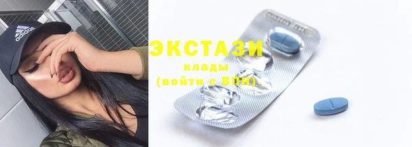 ГАЛЛЮЦИНОГЕННЫЕ ГРИБЫ Инта