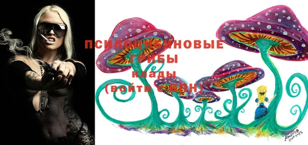 МДПВ Каменка