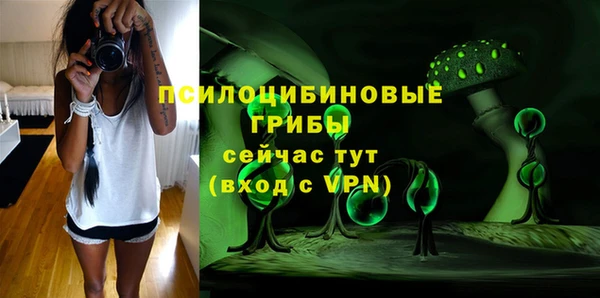 МДПВ Каменка